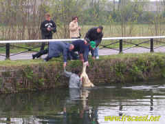 Foto2004-04-16_15.35.31_.JPG (119848 byte)