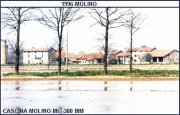 B_0713-cascina molino mi 1996.jpg (7982 byte)