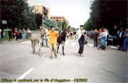 gaggiano_festa_2002_5_palio.jpg (41799 byte)