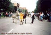 gaggiano_festa_2002_9_palio.jpg (42496 byte)